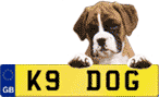 popular number plate searches